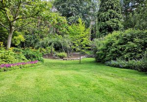 Optimiser l'expérience du jardin à Vic-sur-Seille
